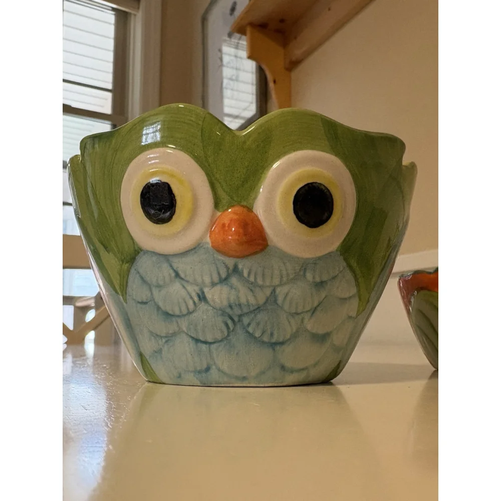 Pier 1 Imports Hand Painted Owl Measuring Cups Set 4 Stoneware Colorful Vintage